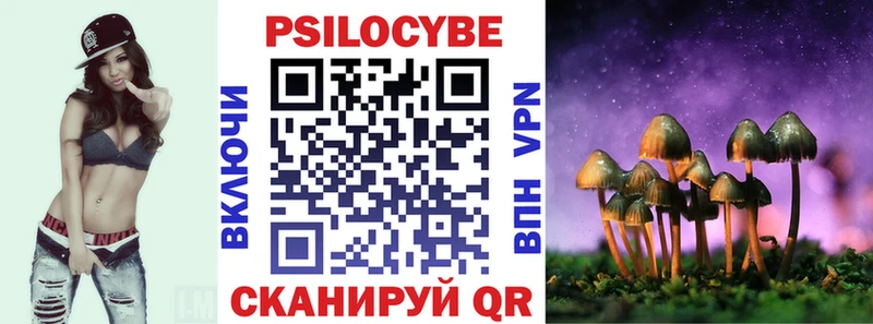 Галлюциногенные грибы Psilocybine cubensis  Калач-на-Дону 